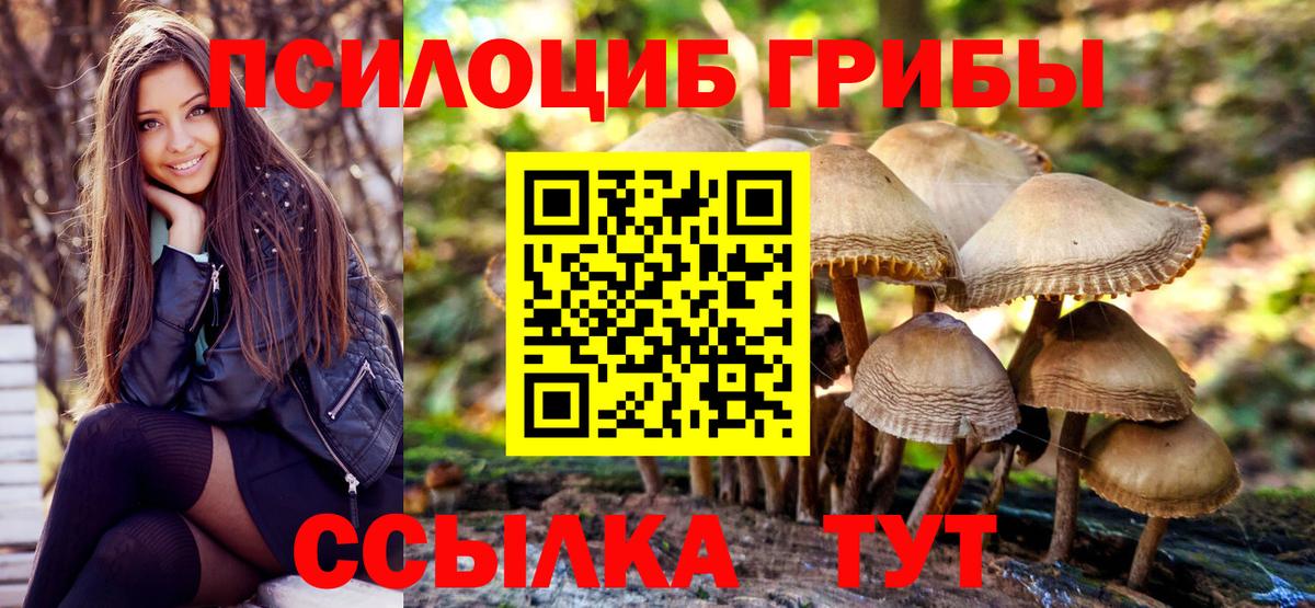 Галлюциногенные грибы GOLDEN TEACHER Новодвинск