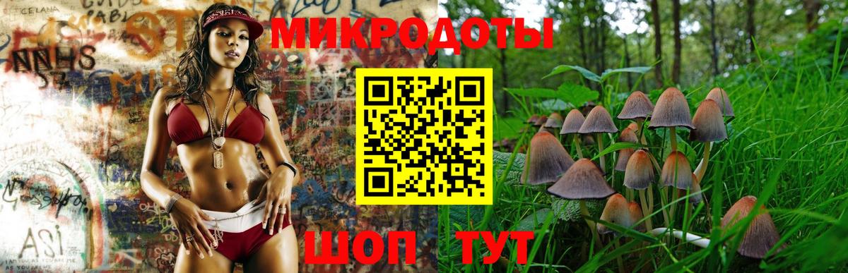 Новодвинск  Псилоцибиновые грибы MAGIC MUSHROOMS  Вход с VPN 